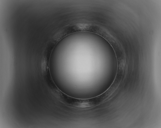 X0000101660651200807171315