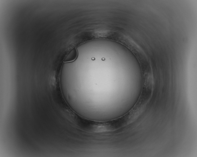 X0000101660655200807171315