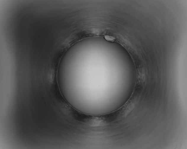 X0000101660656200807171315