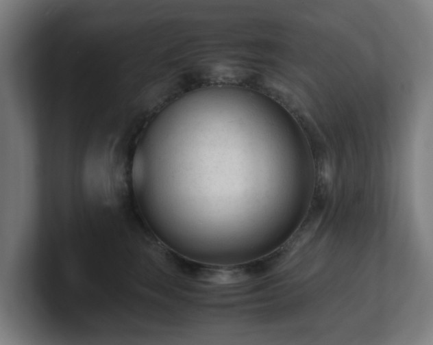 X0000101660663200807171315