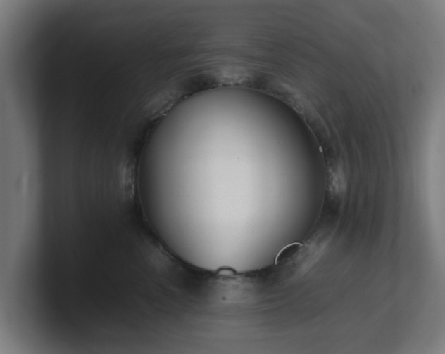 X0000101660666200807171315