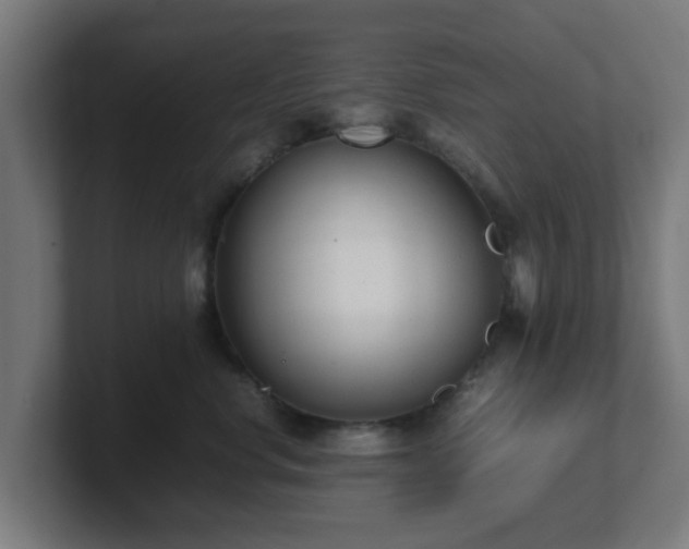 X0000101660668200807171315