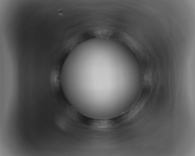 X0000101660671200807171315