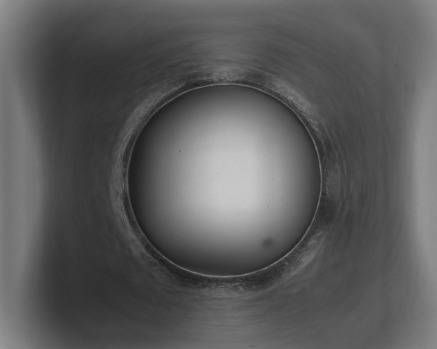 X0000101660673200807171315