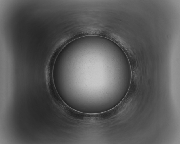 X0000101660679200807171314