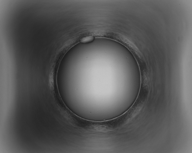 X0000101660681200807171314