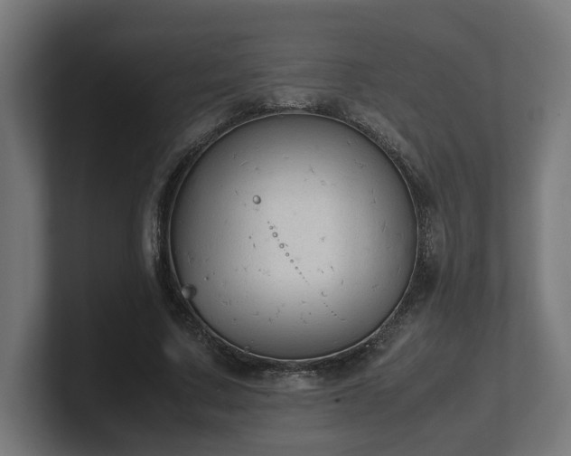 X0000101660683200807171314