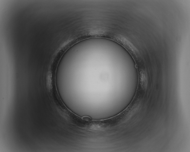 X0000101660684200807171314