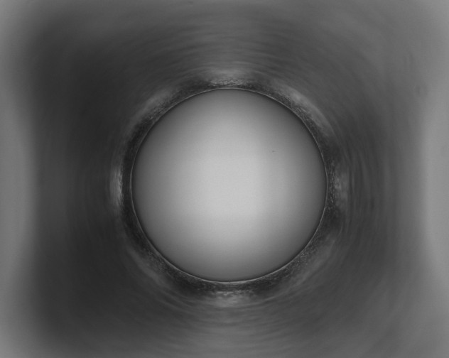 X0000101660686200807171314