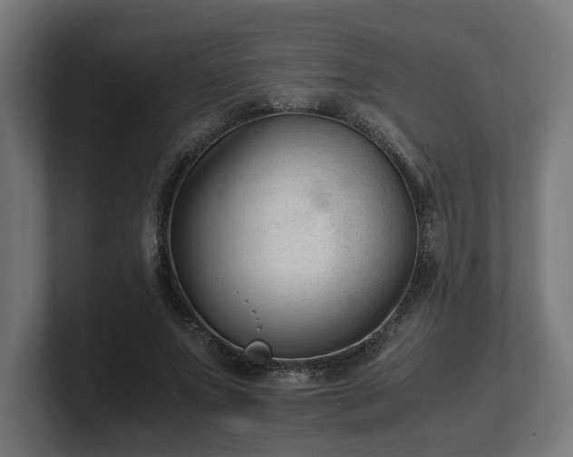 X0000101660687200807171314