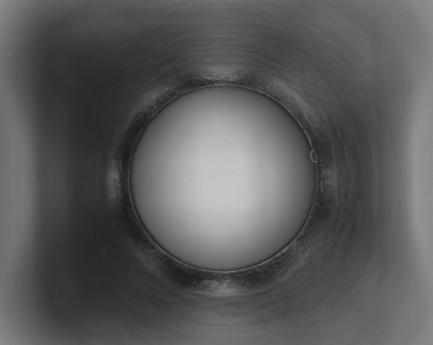 X0000101660688200807171314