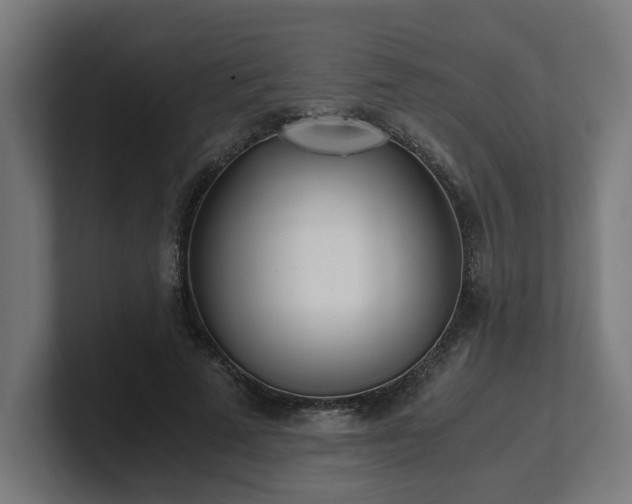 X0000101660689200807171314