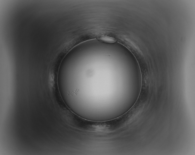 X0000101660693200807171314