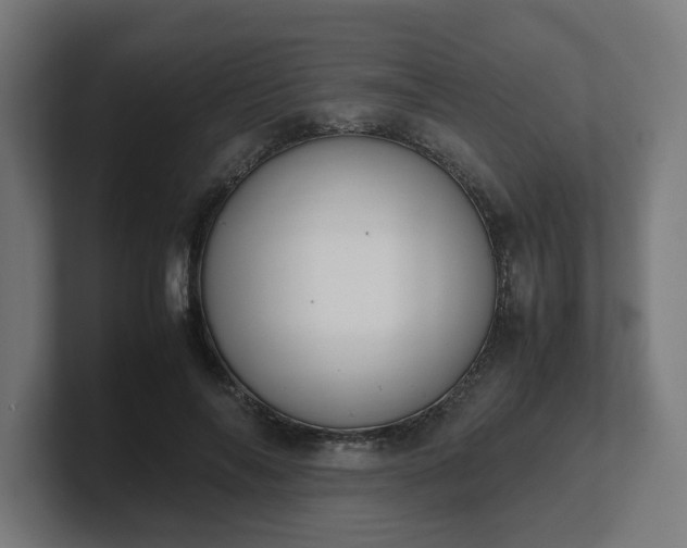 X0000101660694200807171314