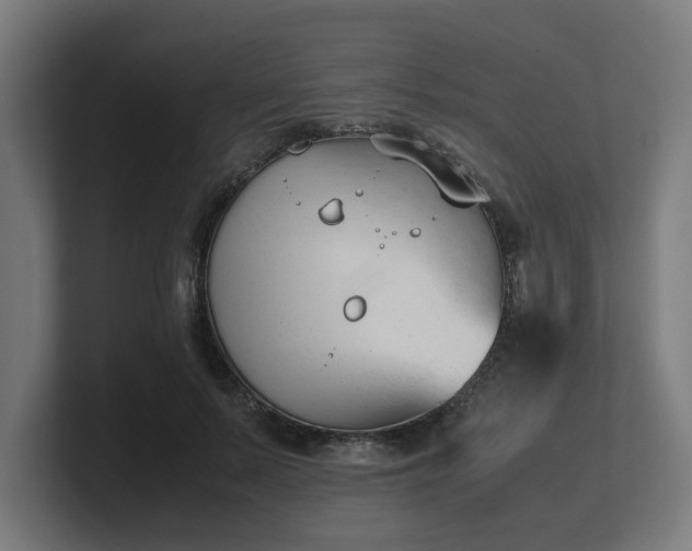 X0000101660695200807171314