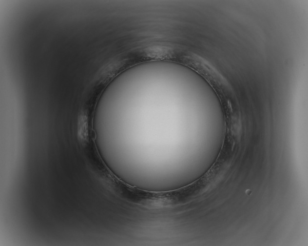 X0000101660696200807171314