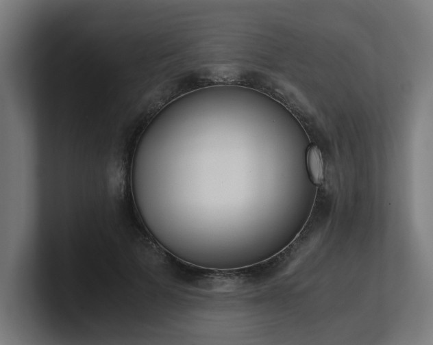 X0000101660697200807171314