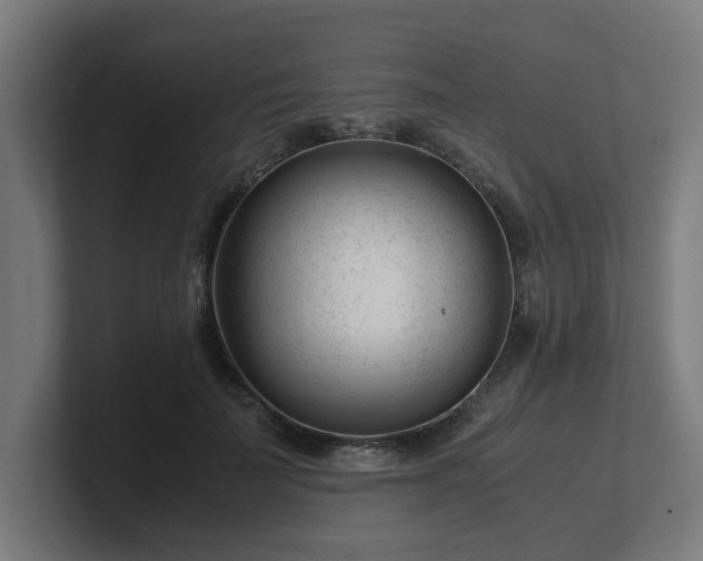 X0000101660699200807171314