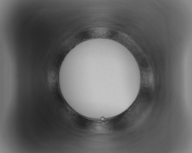 X0000101660701200807171314