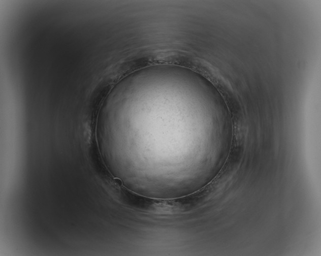 X0000101660703200807171314