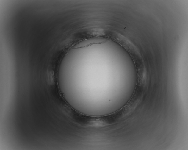 X0000101660704200807171314