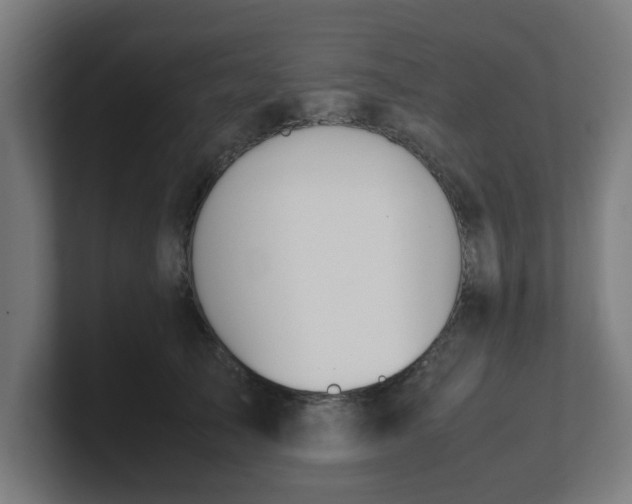 X0000101660705200807171314