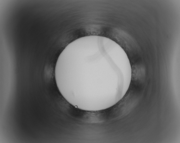 X0000101660713200807171314