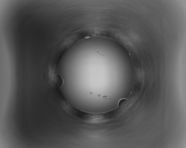 X0000101660719200807171314