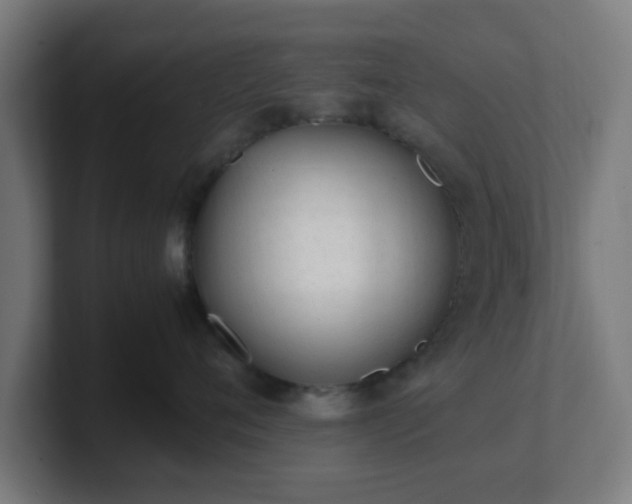 X0000101660720200807171314