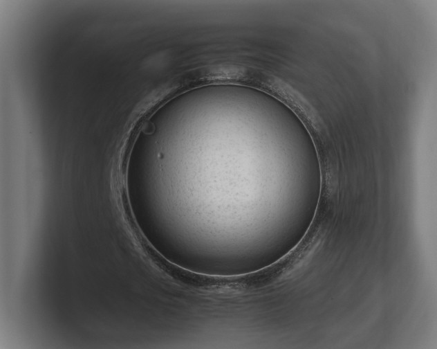 X0000101660721200807171313