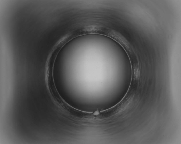 X0000101660724200807171313