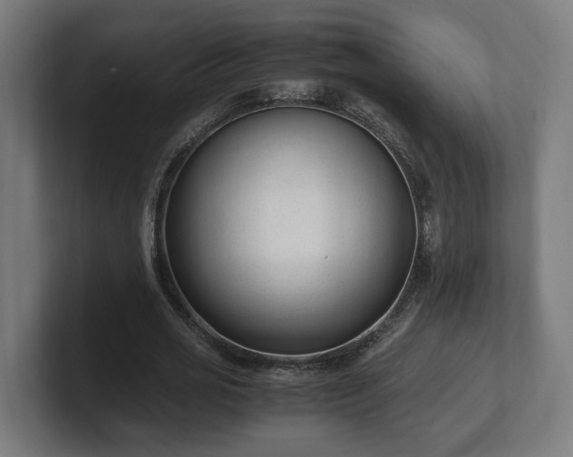 X0000101660725200807171313