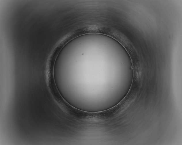 X0000101660728200807171313