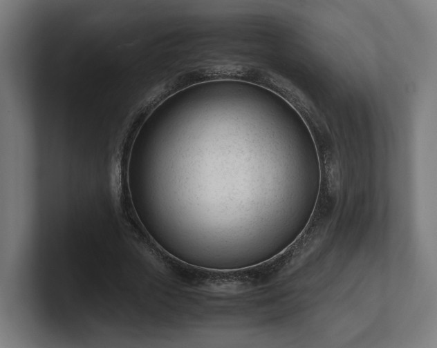 X0000101660729200807171313