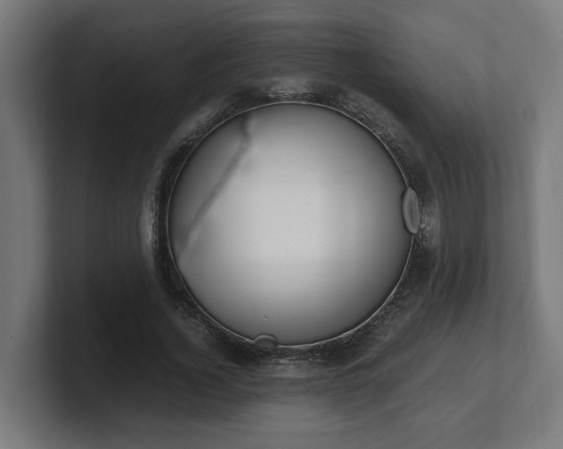 X0000101660732200807171313