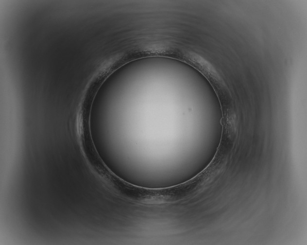 X0000101660734200807171313