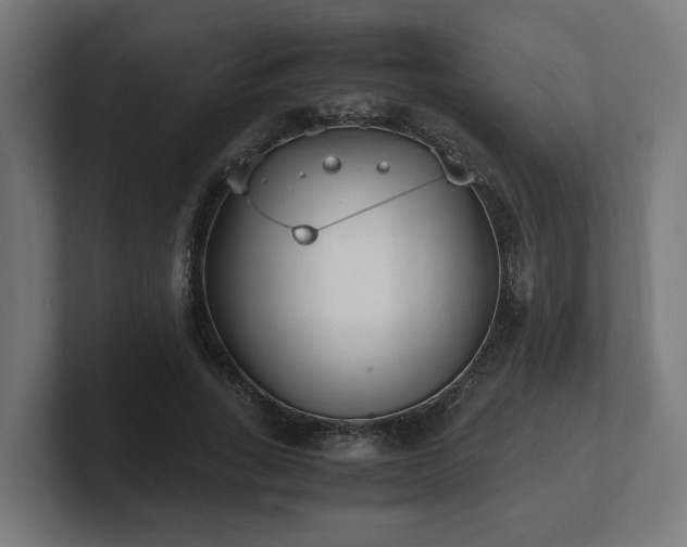 X0000101660735200807171313