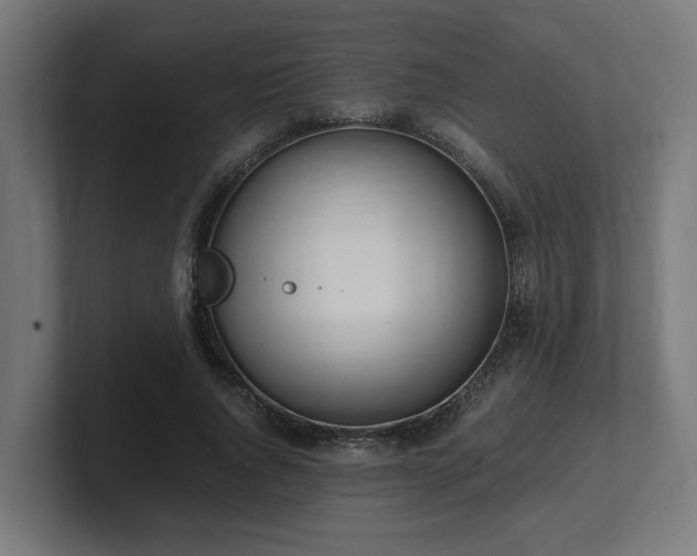 X0000101660736200807171313