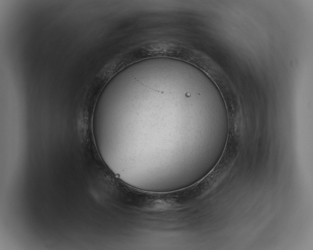 X0000101660737200807171313