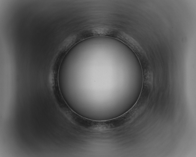 X0000101660738200807171313