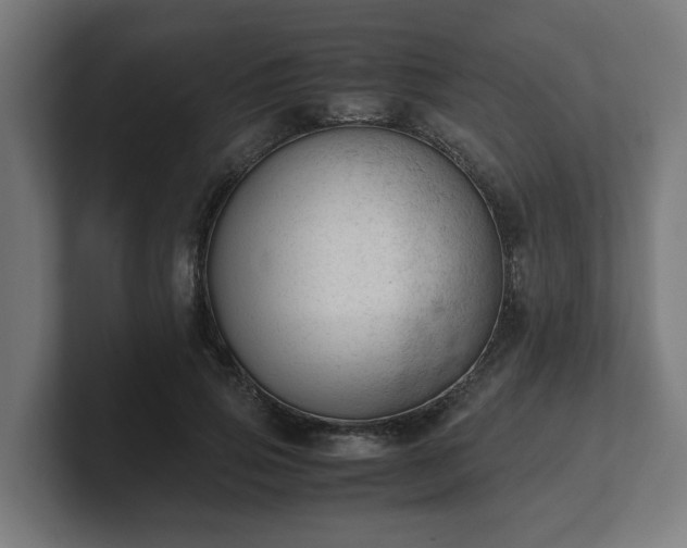 X0000101660741200807171313