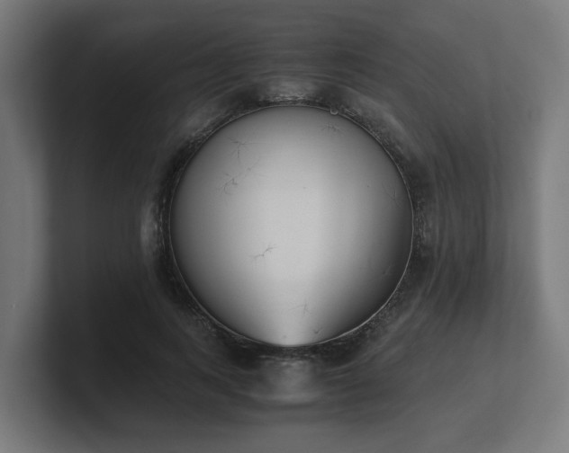 X0000101660743200807171313