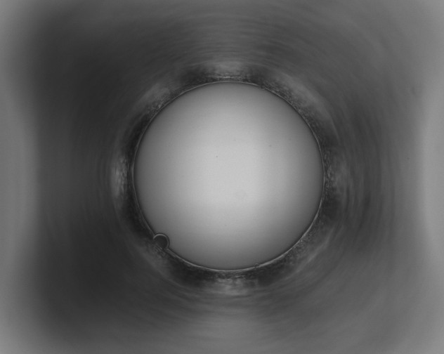 X0000101660744200807171313