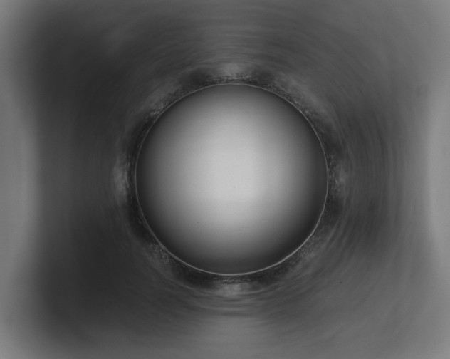 X0000101660746200807171314