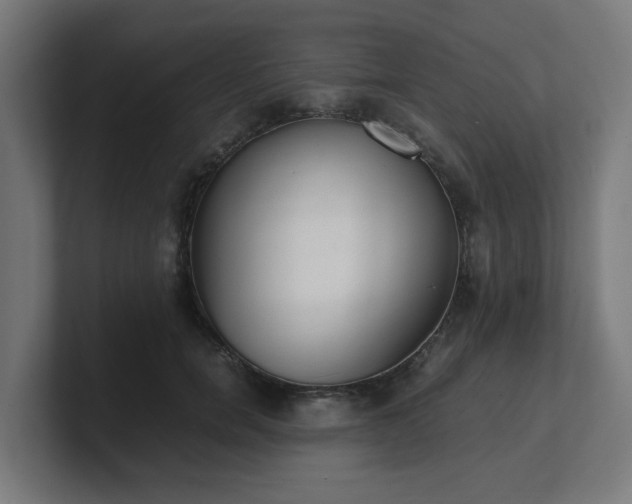 X0000101660750200807171314