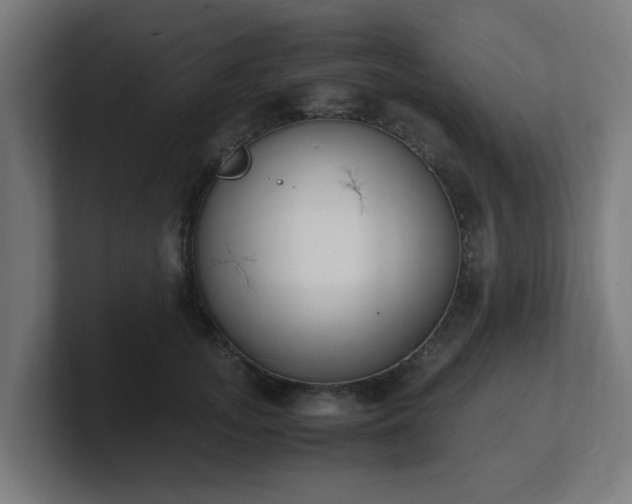 X0000101660755200807171314