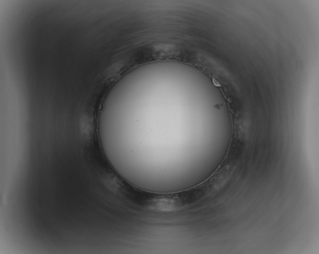 X0000101660756200807171314