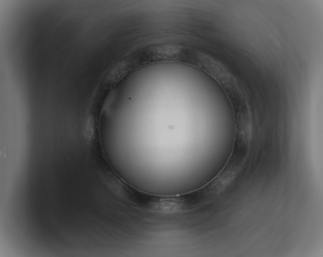 X0000101660758200807171314