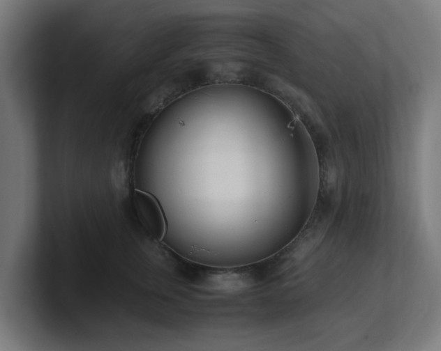 X0000101660759200807171314