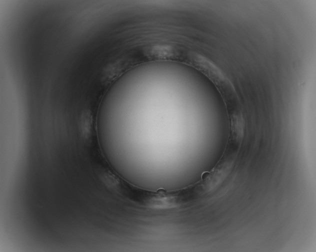 X0000101660760200807171314